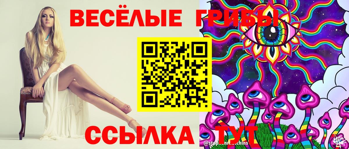 Артём  Галлюциногенные грибы Psilocybe  Вход с VPN 
