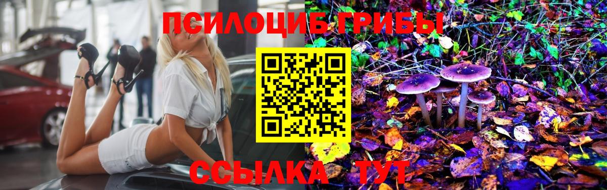 Галлюциногенные грибы Psilocybe Артём